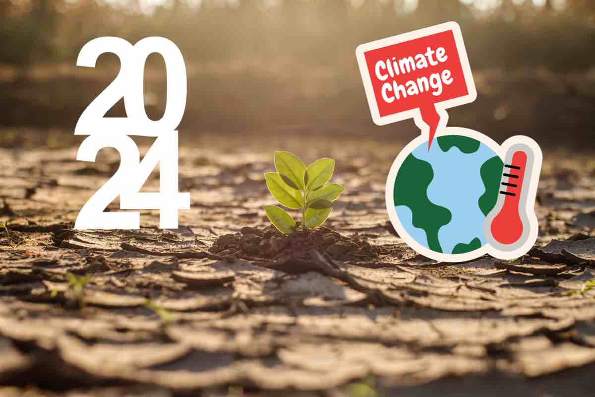 segnali cambiamento climatico 2024