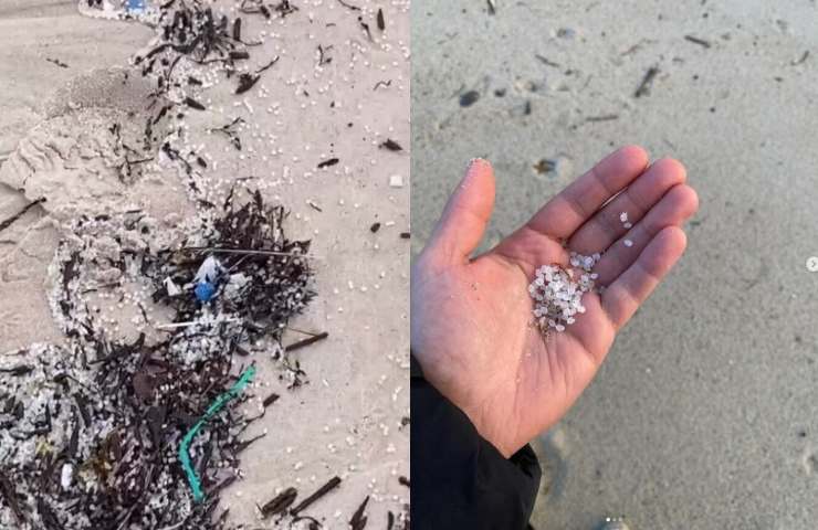 microplastiche disperse in spagna