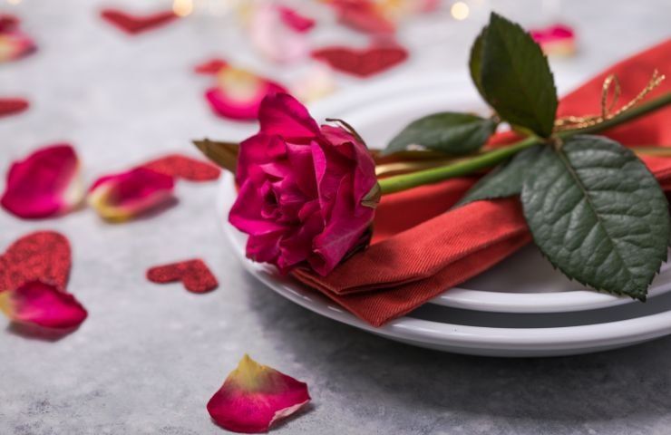 Rosa rossa disposta su un piatto