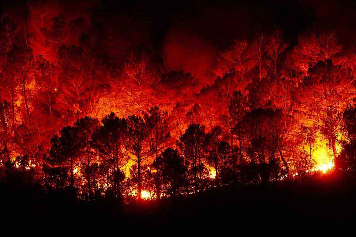incendi Cile