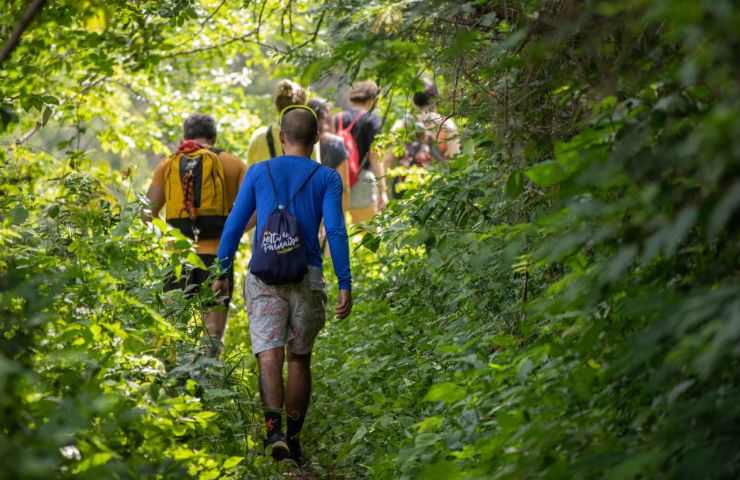 Gruppo di persone immersi nel bosco