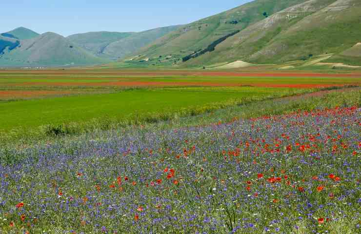 Castelluccio di Norcia