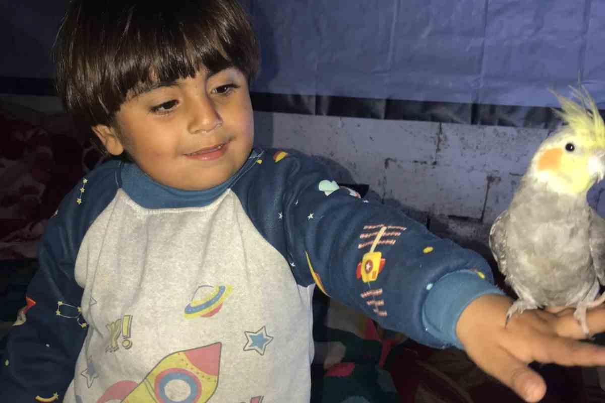 bambino palestinese gioca con un pappagallo